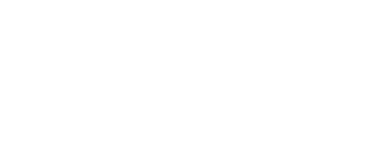 Valeo-logo-blanc