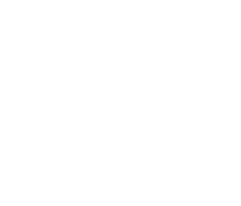 Ville-de-Lyon-logo-blanc Ville-de-Lyon-logo-blanc